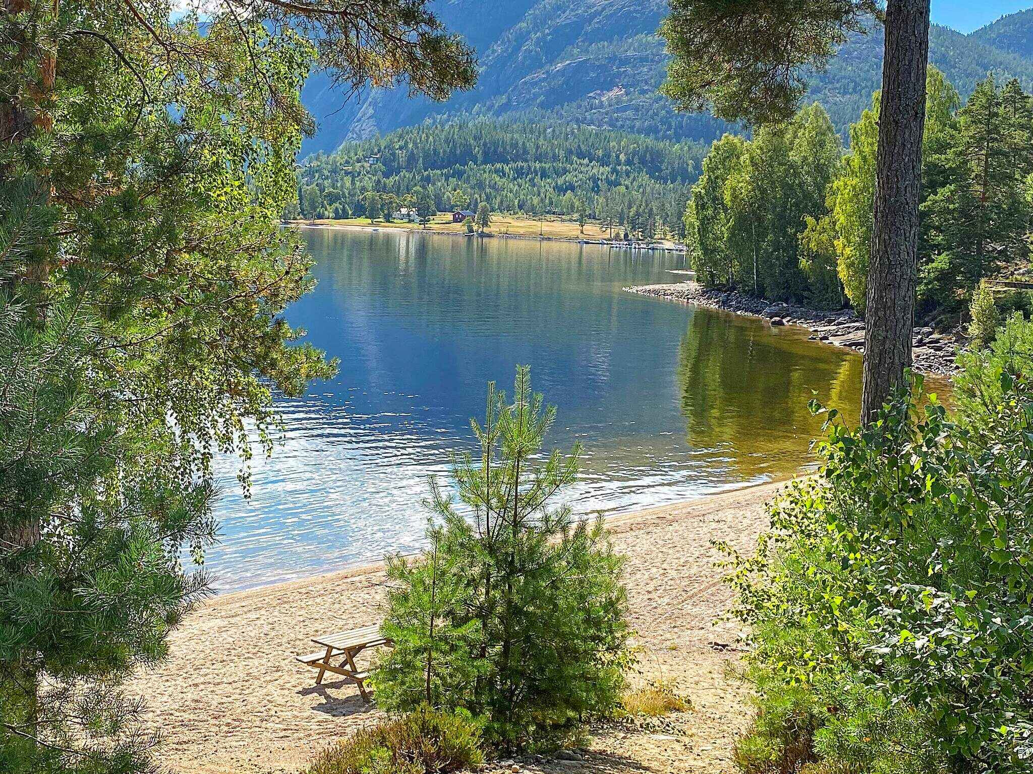 Large Image