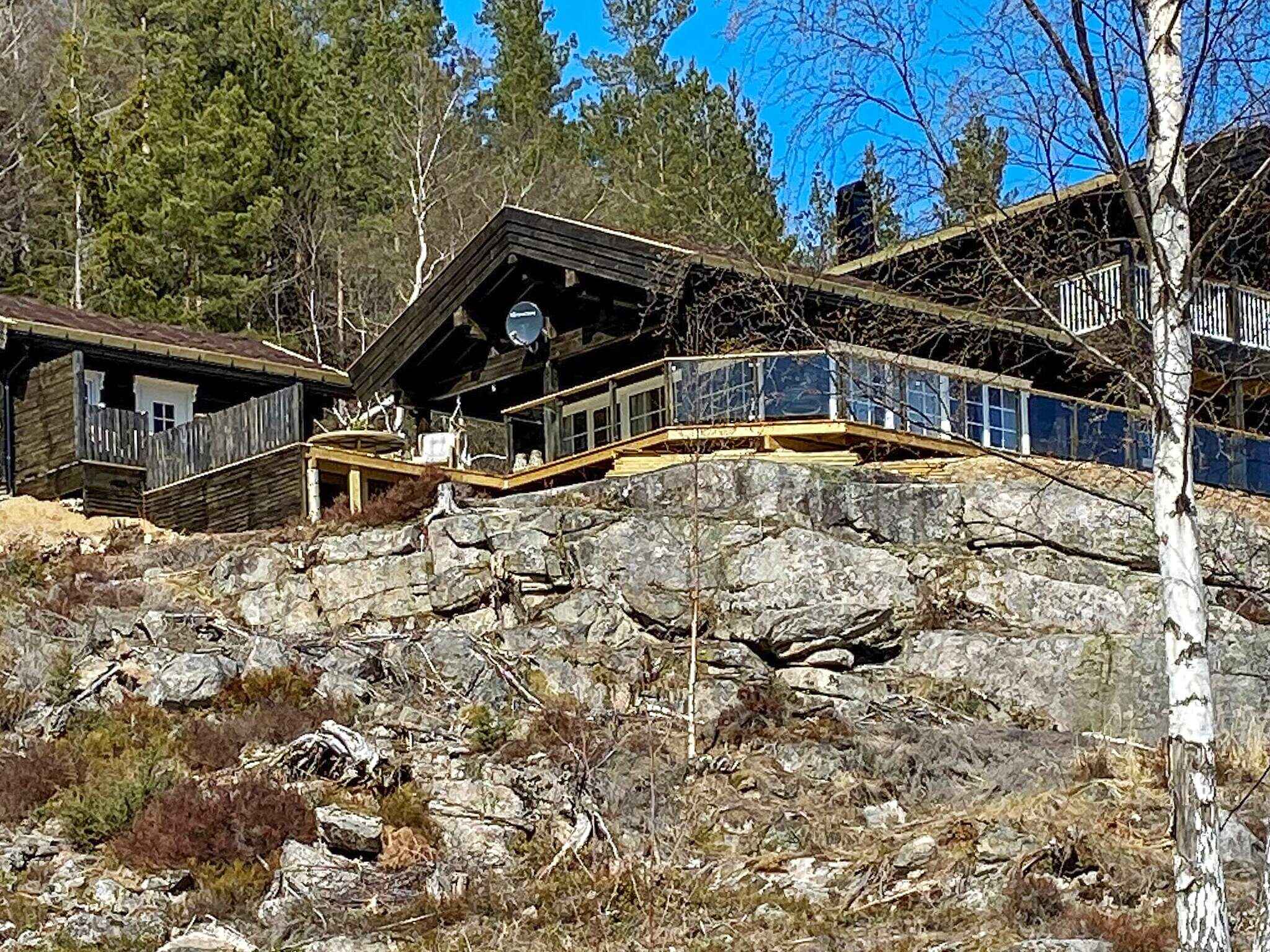 Large Image