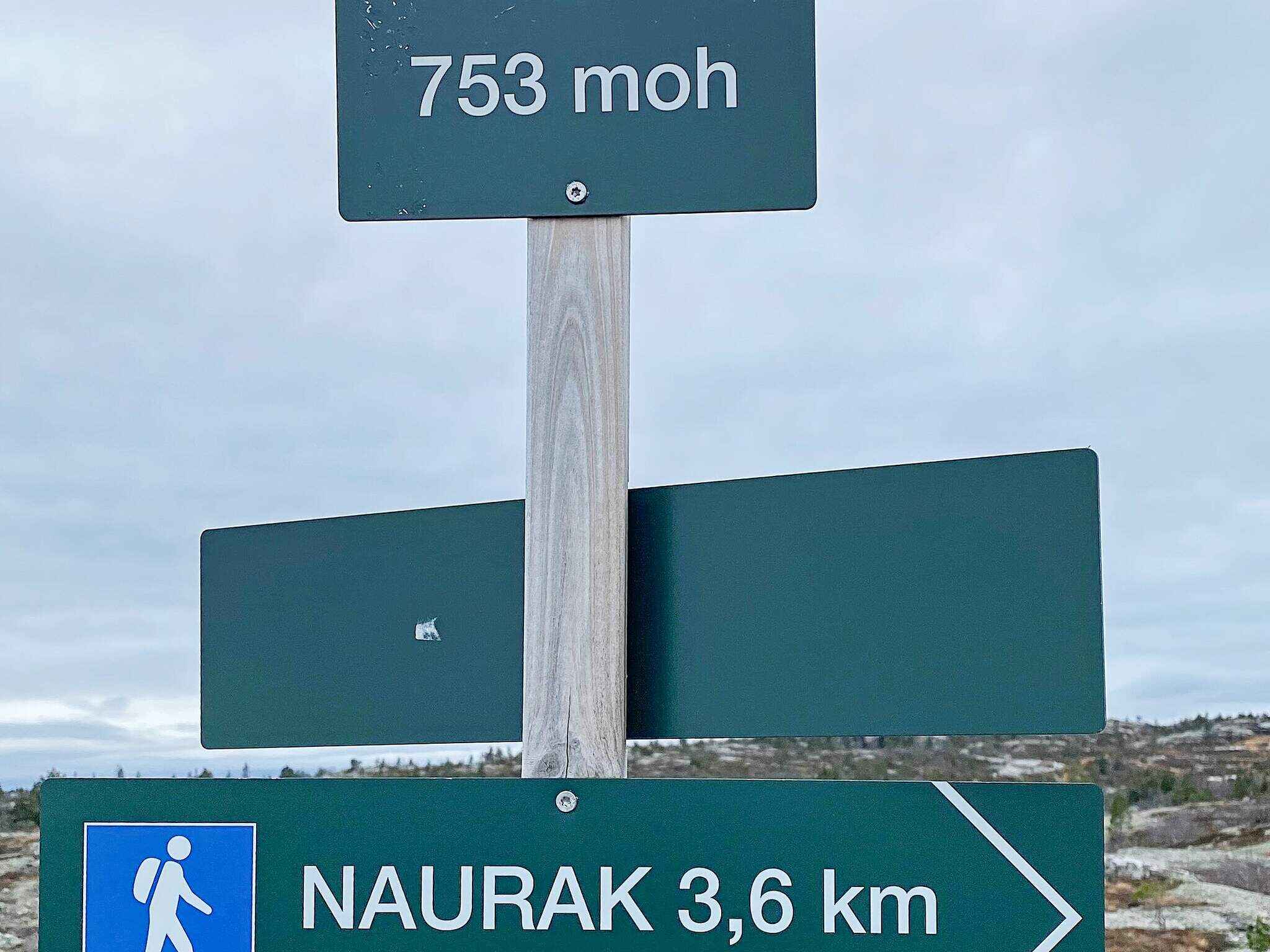 Large Image