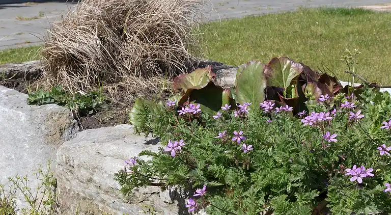 Maison de vacances au Baarland
