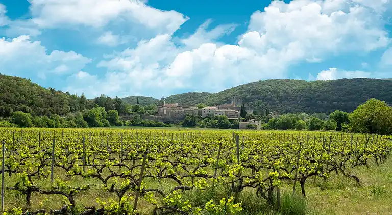 Holiday home in Europe