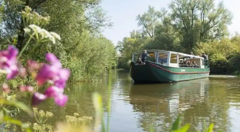 Feriebolig i Hooge Zwaluwe