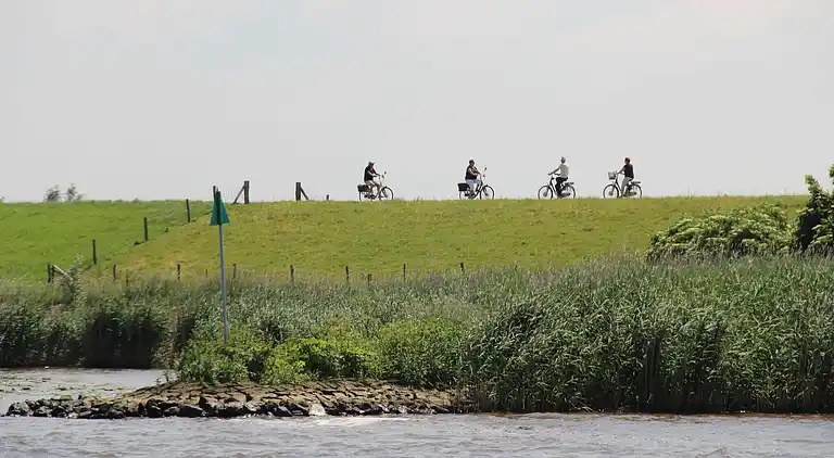 Feriebolig i Hooge Zwaluwe