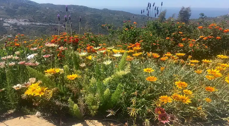 Villa i Daimalos Vados