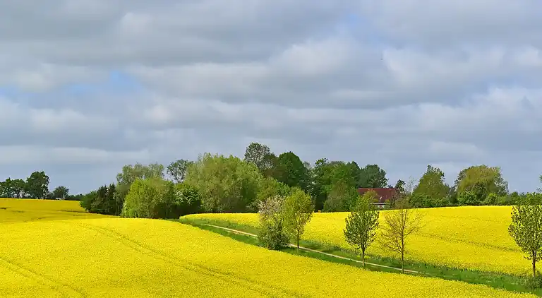Appartement en Schulenbrook