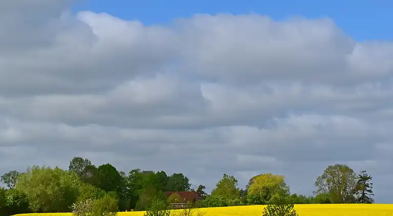 Appartement en Schulenbrook