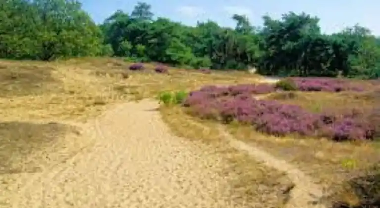 Holiday home in Boijl