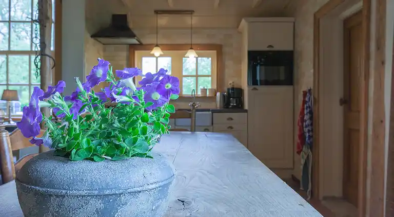 Boerderij in Twekkelo