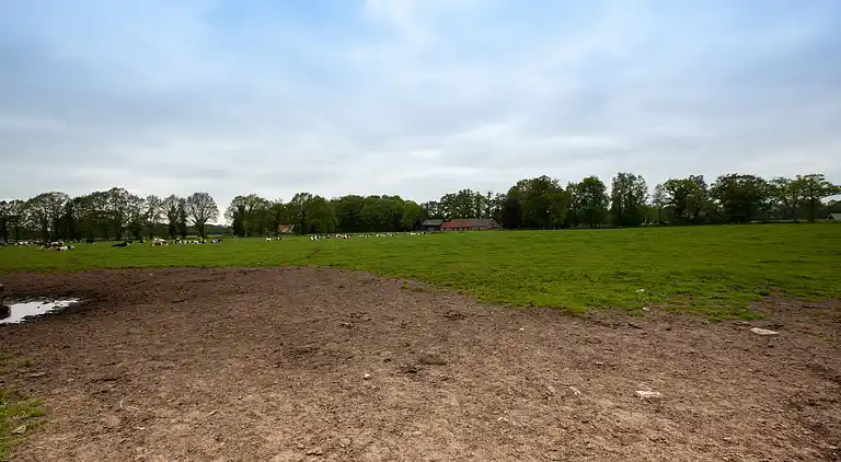 Boerderij in Twekkelo