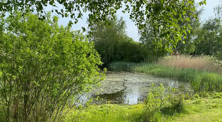 Ferienhaus in der 2. Reihe von Enøs Küste