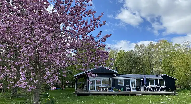 Einsig artiges Landhaus am Wasser
