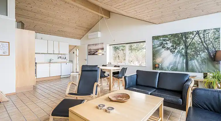 Feriebolig i Blåvand