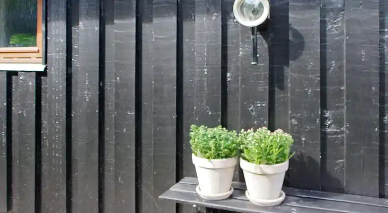 Sommerhus ved Skaven Strand