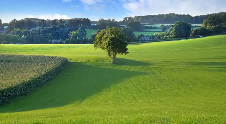 Holiday home in Slenaken