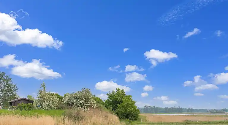 Bungalow in Baltic Sea Germany