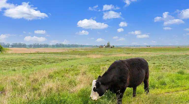 Bungalow in Baltic Sea Germany