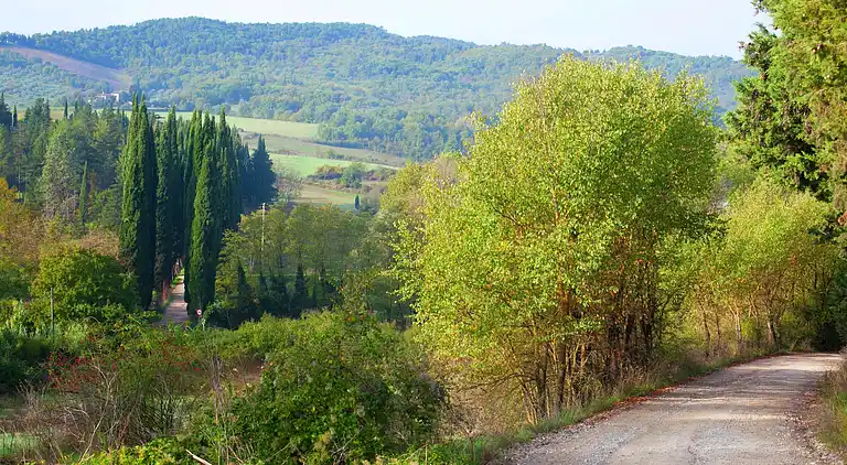 Holiday home in Greve in Chianti