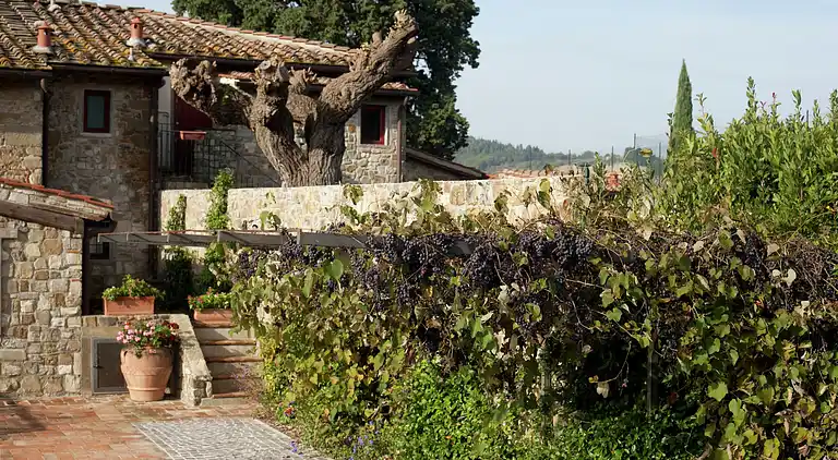 Holiday home in Greve in Chianti