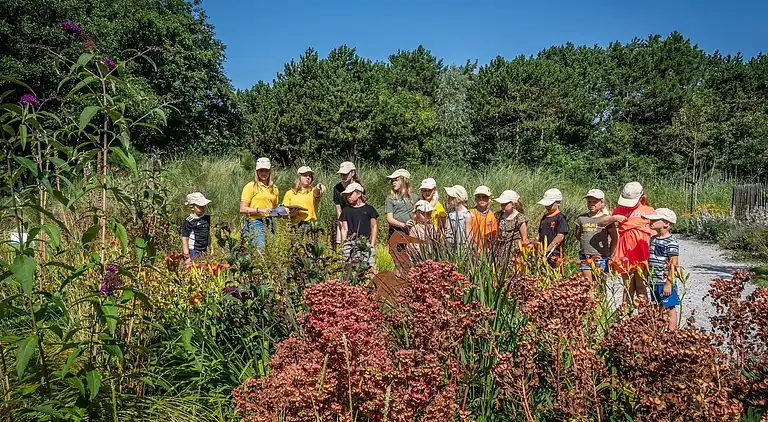 Chalet in De Cocksdorp
