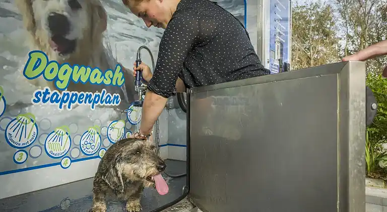 Chalet in De Cocksdorp