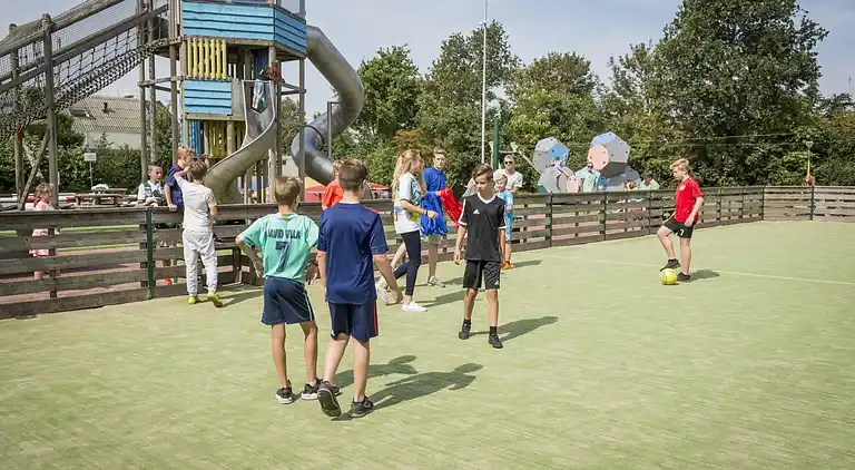 Chalet in De Cocksdorp