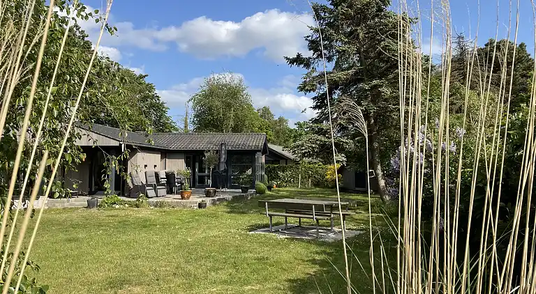 Dejligt sommerhus tæt på strand og natur