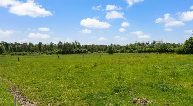 Holiday home in Beilen