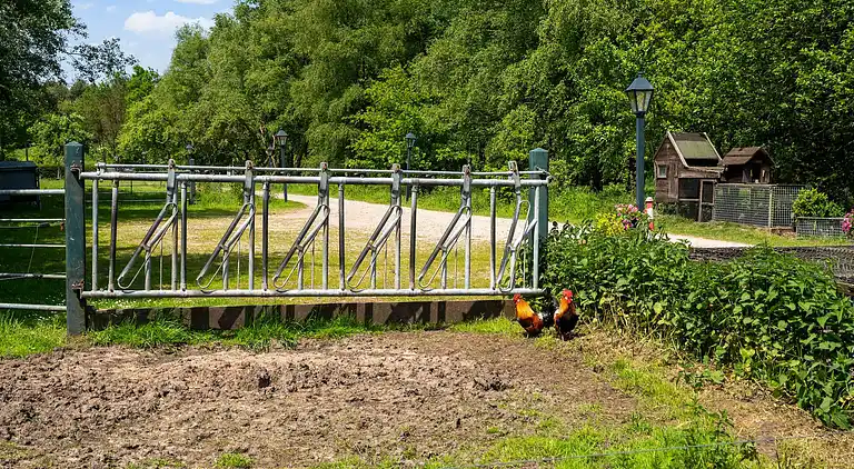 Holiday home in Beilen