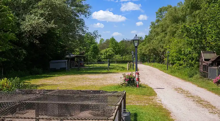 Holiday home in Beilen