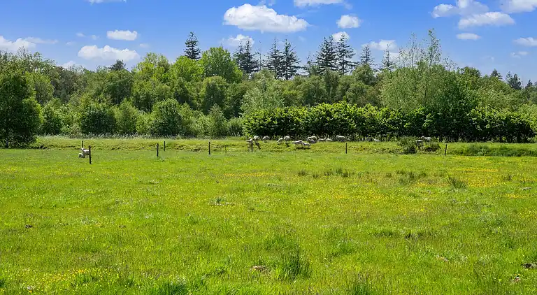 Holiday home in Beilen