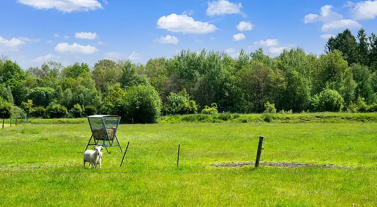 Holiday home in Beilen