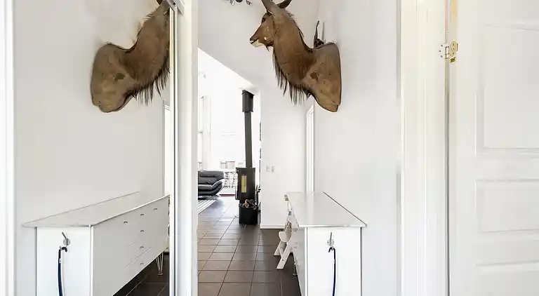 Hyggeligt nyere stort feriehus i Snogebæk