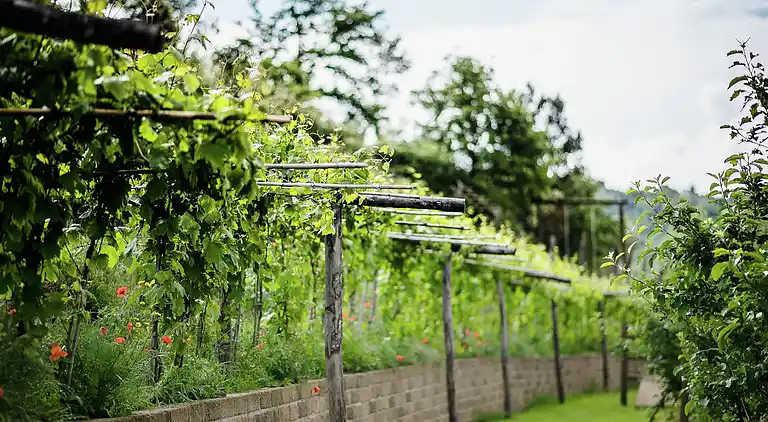 Holiday home in Paciano