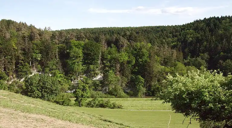 Ferielejlighed i Fischbach