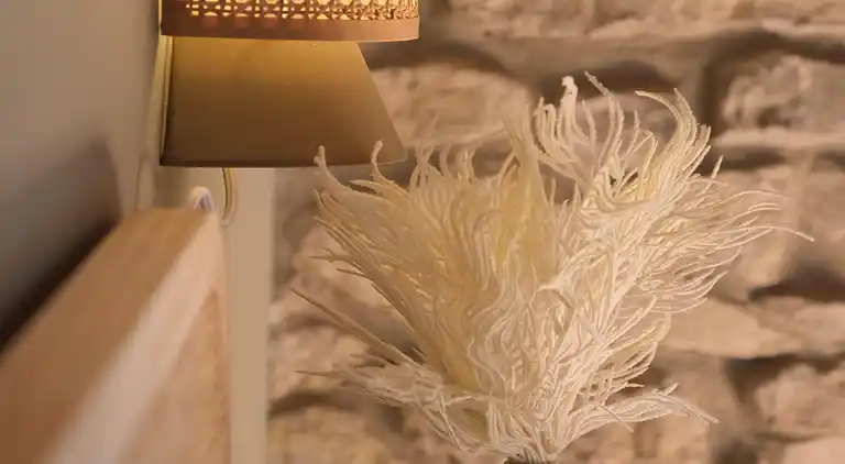 Herregård i Ciutadilla