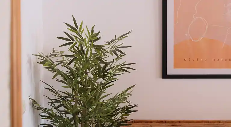 Herregård i Ciutadilla