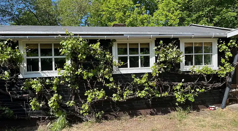Hyggeligt sommerhus tæt på skov og strand
