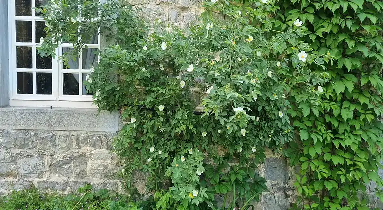 Sommerhus i Forrières