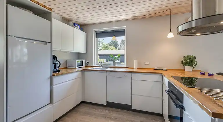 Stort sommerhus med vildmarksbad og shelter