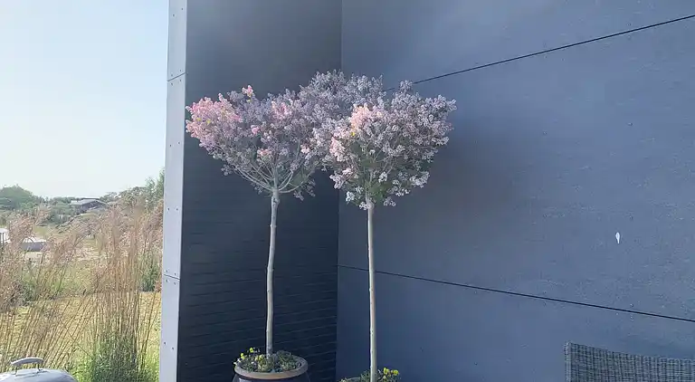 Unikt og moderne feriehus i Marielyst