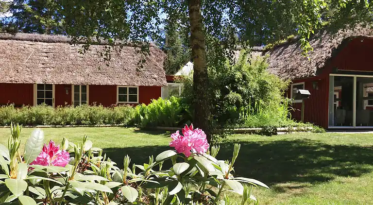 Feriebolig i Blåvand