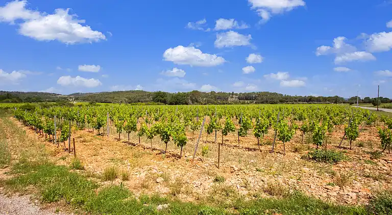 Holiday home in Correns