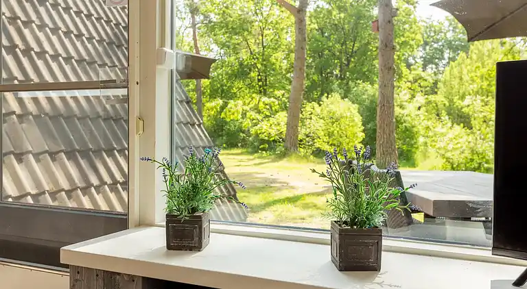 Feriebolig i Stramproy