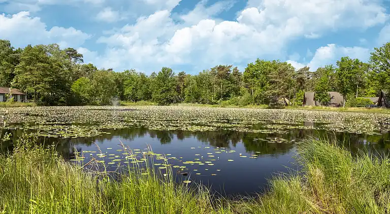 Feriebolig i Stramproy