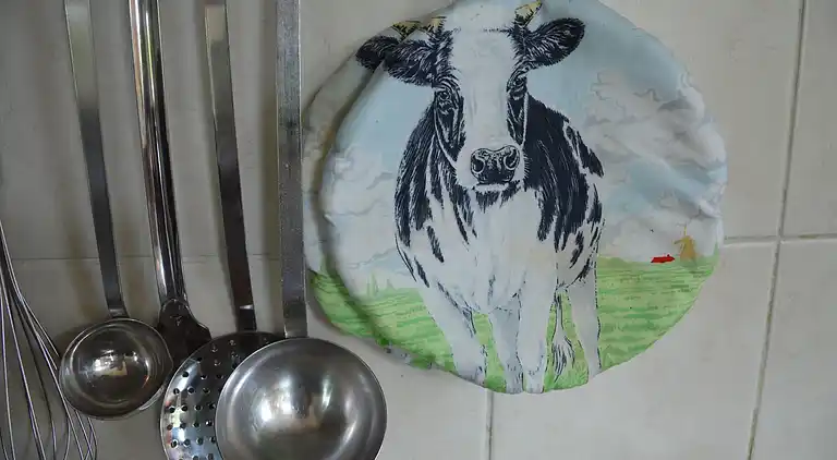 Farm house in Haarlo