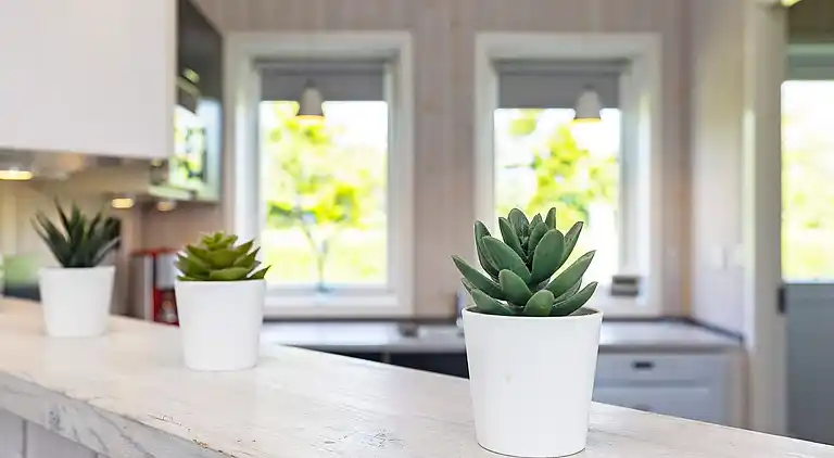 Sommerhus i Spodsbjerg