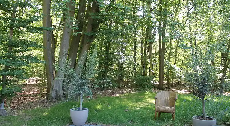 Ferienhaus in Zon en Schild