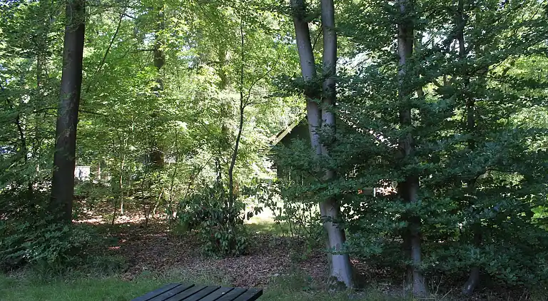 Ferienhaus in Zon en Schild