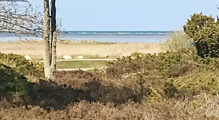 Holiday home in Helberskov Strand