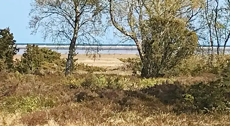 Holiday home in Helberskov Strand